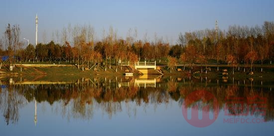 015c7ce58baa1ba91590cbe18d310ec9.jpg