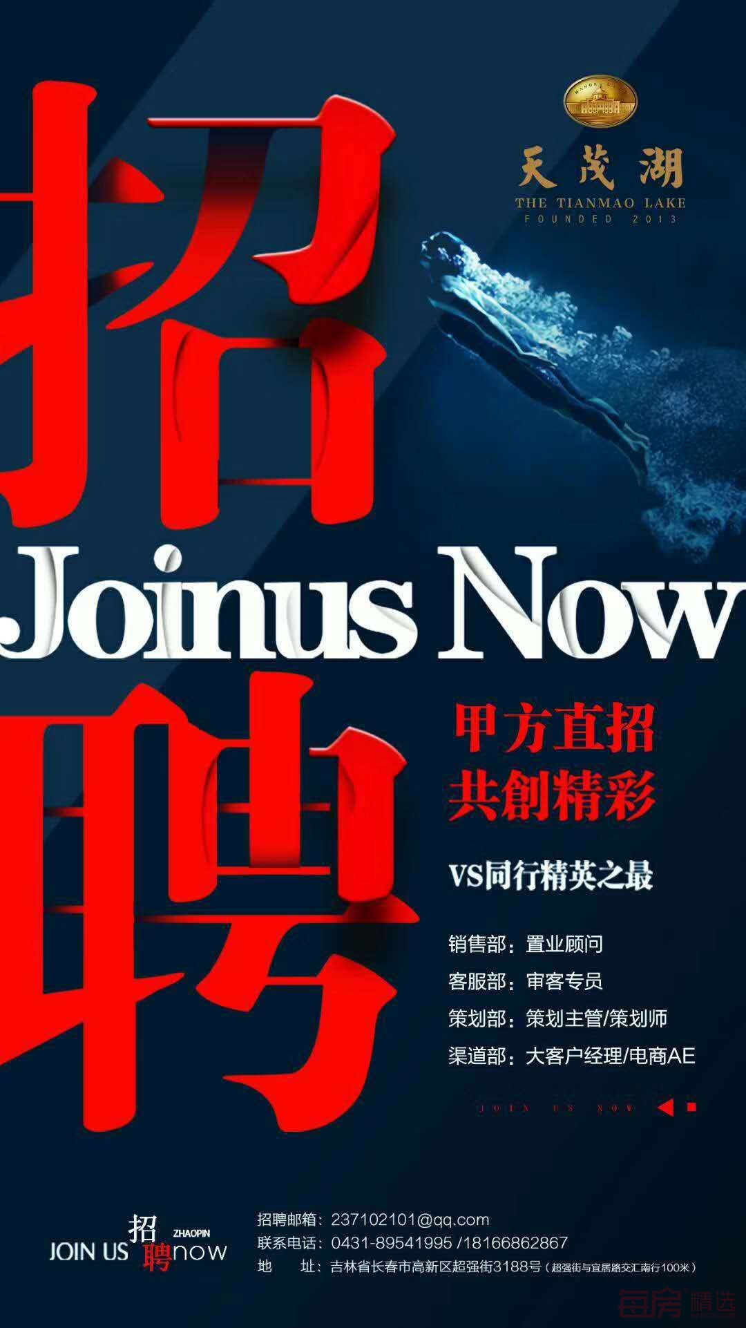 天茂湖招聘