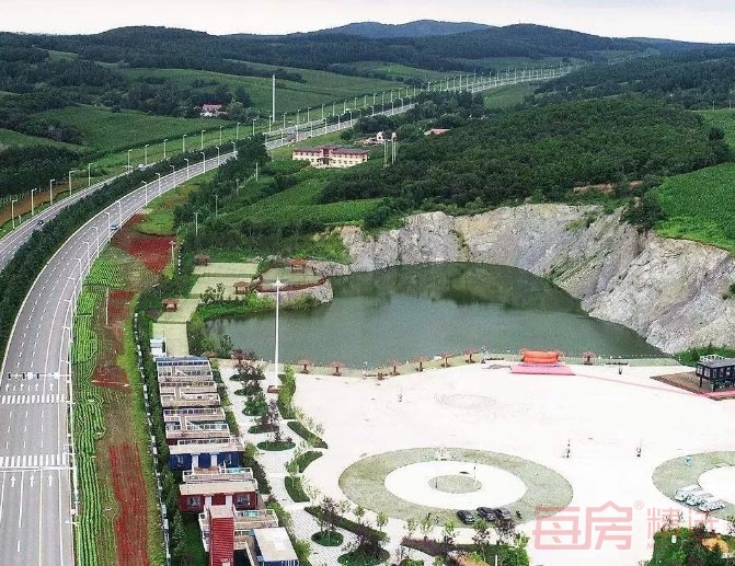 力旺孔雀林实景