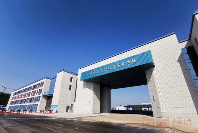 图片-6.jpg