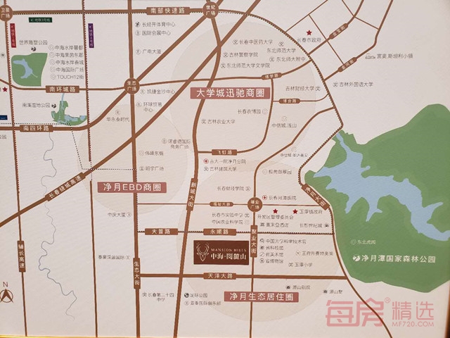 区域_副本.jpg
